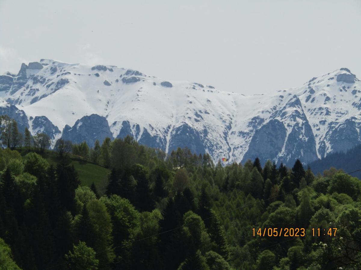 Ograda De La Munte Villa Bran  Exteriör bild