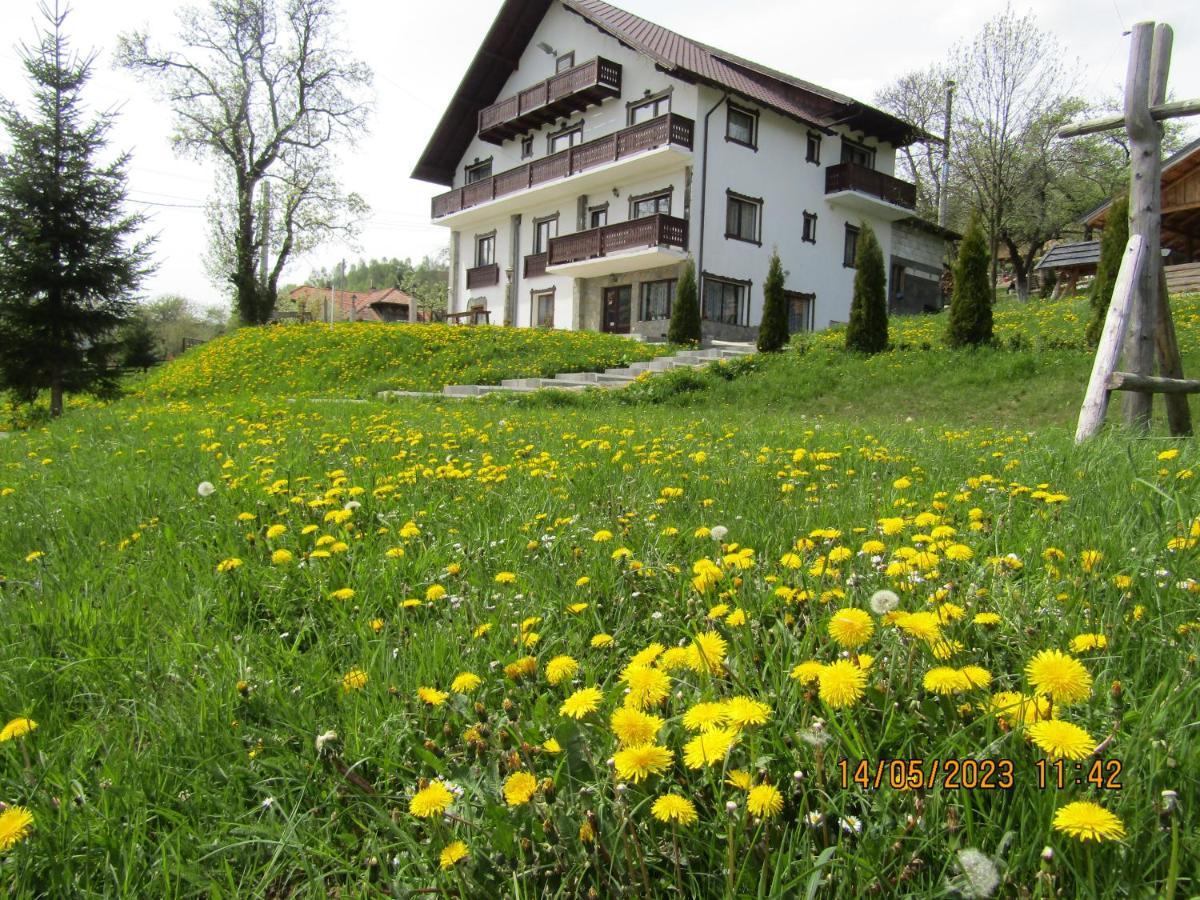 Ograda De La Munte Villa Bran  Exteriör bild