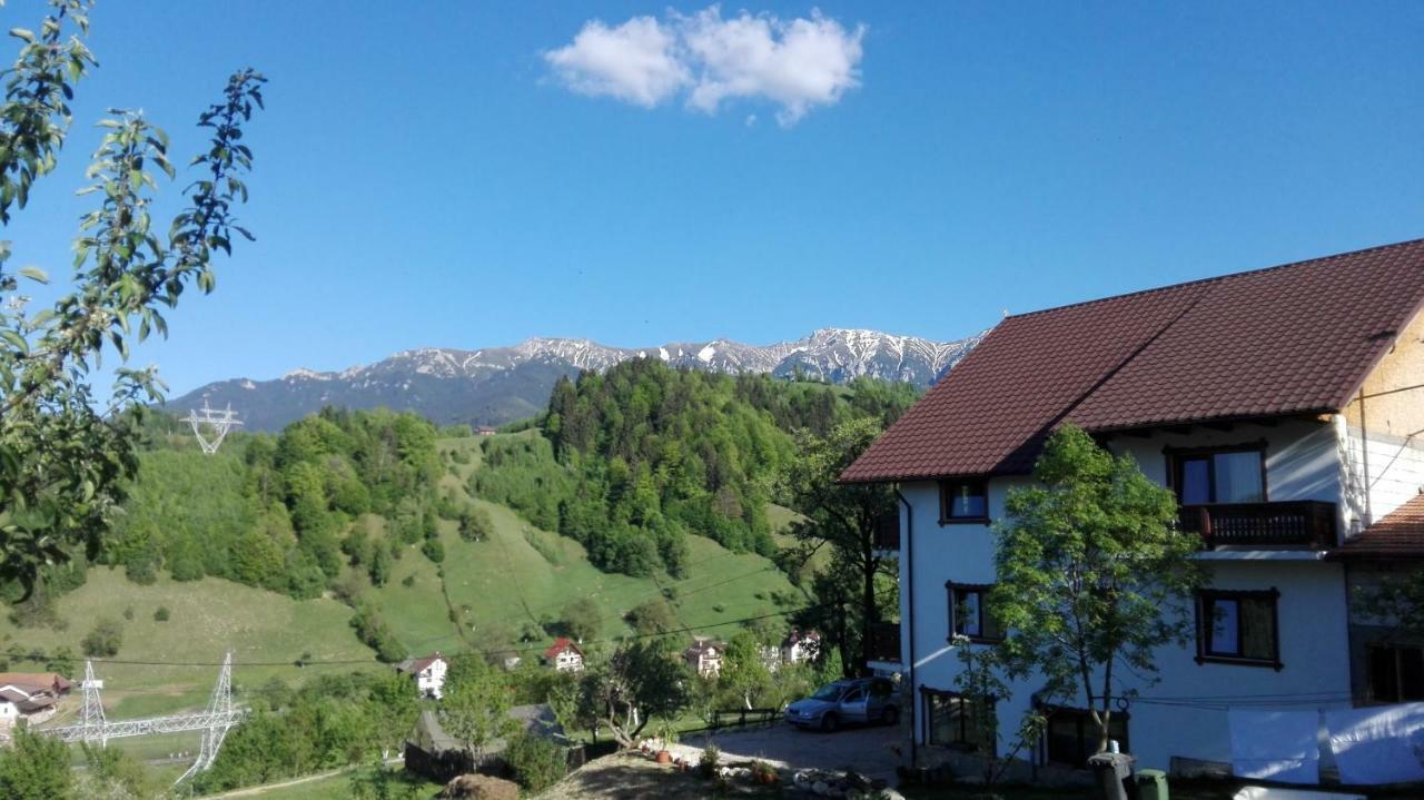 Ograda De La Munte Villa Bran  Exteriör bild